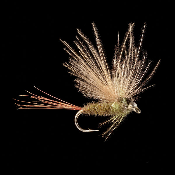 Marc Petitjean MP 15 – CDC-Eintagsfliege #22