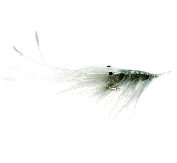 Oeland Spey -grau Meerforellenfliege-