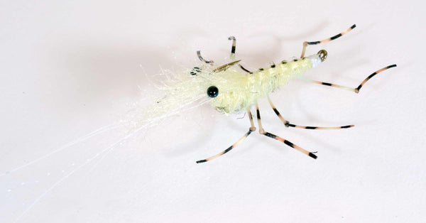 Honey Shrimp -black/chartreuse legs- Meerforellenfliege-
