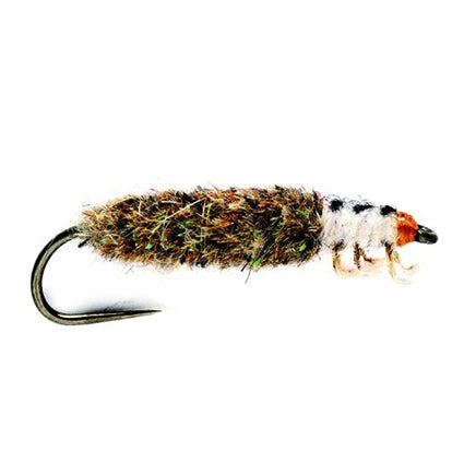 Finish Case Caddis – widerhakenlose Köcherfliegenlarve