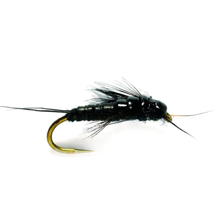 Small Black Stonefly – widerhakenlose Steinfliegen-Nymphe