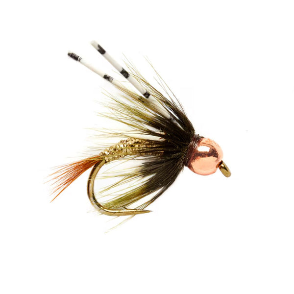 RG Copper Prince -Steamer- #6
