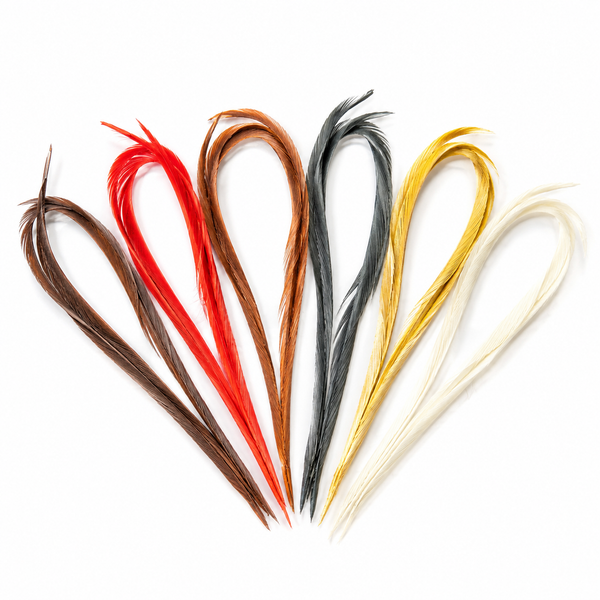 Biots Horngrannen – Mischpackung mit 6 Farben