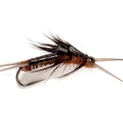 Large Black Stonefly #8 – große Steinfliegen-Nymphe