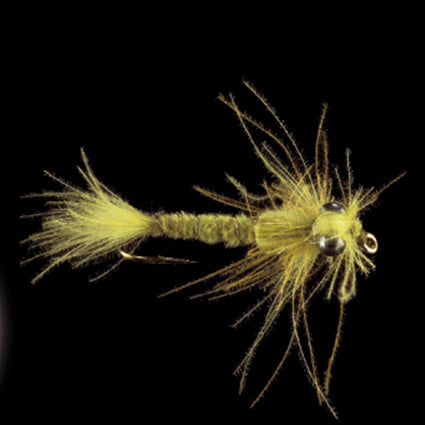 Marc Petitjean MP 78 – CDC-Kleinlibellenlarve / Damsel Nymph