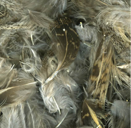 Rebhuhnfedern – weiche Hechelfedern zum Fliegenbinden