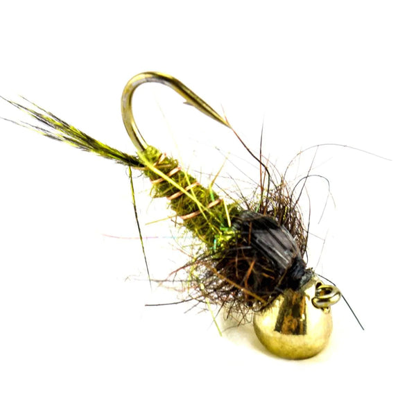 Tungsten Trout Trap Olive – Jig-Nymphe mit goldfarbenem Tungstenkopf, olivgrün geripptem Körper und dunklem, buschigem Thorax