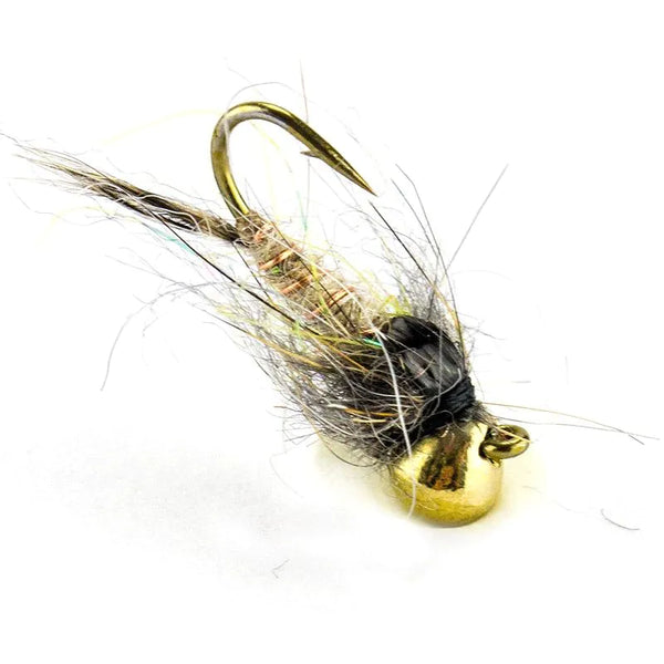 Drop Cream Jig-Nymphe mit hellem, cremefarbenem Körper, dunklem buschigem Thorax und goldfarbener Kopfperle