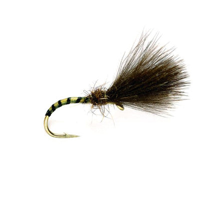 Emerger-Trockenfliege mit gebogenem, gelb-schwarz geringeltem Körper und großem dunkelbraunem Fächerflügel