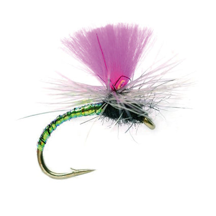 Klinkhammer Emerger mit gebogenem, grün schimmerndem Körper, hellgrauer Parachute-Hechel und pinkfarbenem Sichtflügel