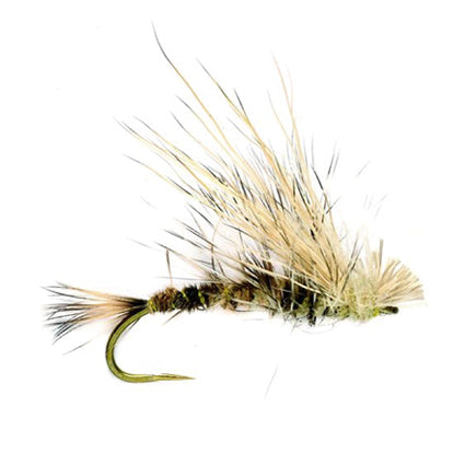 Trockenfliege mit dunkelbraun-olivem Körper, heller aufgerichteter Haarschwinge und kurzen Schwanzfibern