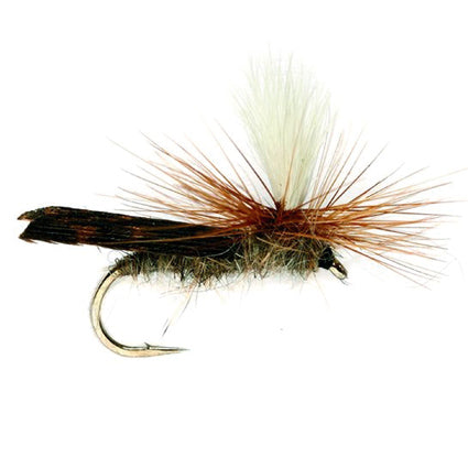 Braune Parachute-Trockenfliege mit dunklem, nach hinten gerichtetem Flügel, rotbrauner Hechel und weißer Sichthilfe