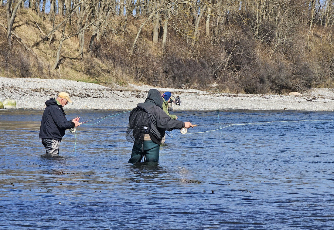 Drei Wochen Meerforellenfischen auf Fünen – Live Fishing Tour 2026