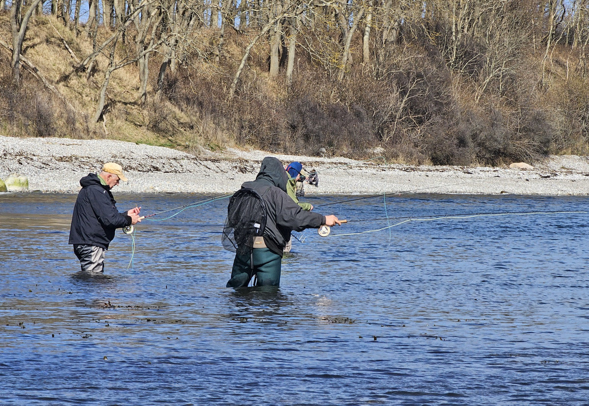 Drei Wochen Meerforellenfischen auf Fünen – Live Fishing Tour 2026