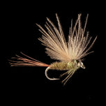 Marc Petitjean MP 15 – CDC-Eintagsfliege #22