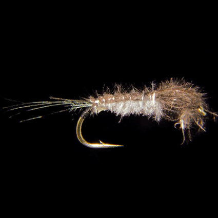 Marc Petitjean MP 134S – CDC-Baetis-Nymphe mit Anthrazitperle