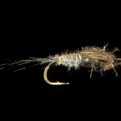 Marc Petitjean MP 134D – CDC-Baetis-Nymphe mit zwei Anthrazitperlen