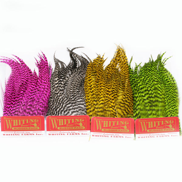 Whiting Bugger Pack – Hechelfedern für Streamer