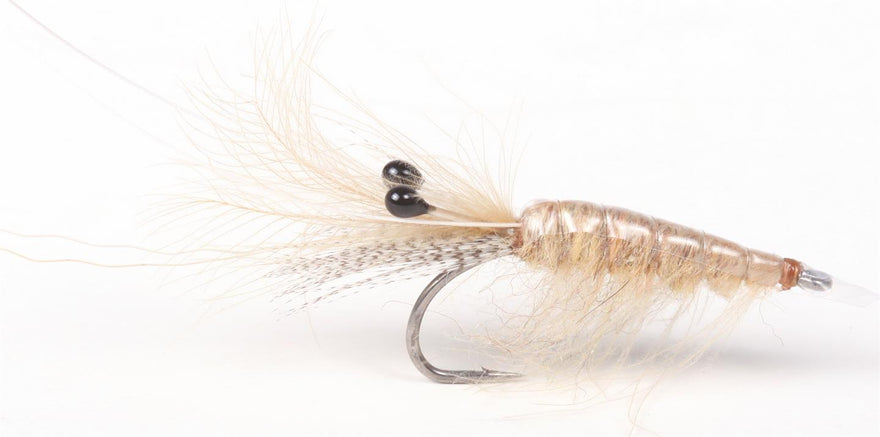 Guideline Sand CDC Shrimp #6 -Meerforellenfliege-