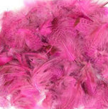 Rebhuhnfedern Fluo Pink – weiche Hechelfedern