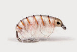 Guideline UV Gammarus tan #8 -Meerforellenfliege-
