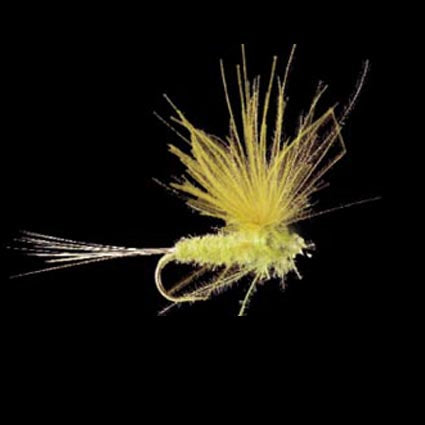 Marc Petitjean MP 13 – CDC-Eintagsfliege gelb/oliv