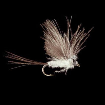 Marc Petitjean MP 22 – CDC-Eintagsfliege