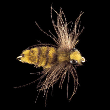 Marc Petitjean MP 79 – CDC-Großlibellenlarve / Dragonfly Nymph