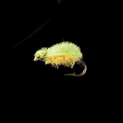 Marc Petitjean MP 103 – CDC-Käfer grün/gelb