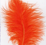 Marabou Extra Select – ausgesuchte Maraboufedern