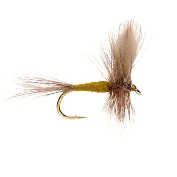 BWO Blue Winged Olive Trockenfliege mit olivgrünem Körper, brauner Hechel, aufgerichtetem Flügel und feinen Schwanzfibern
