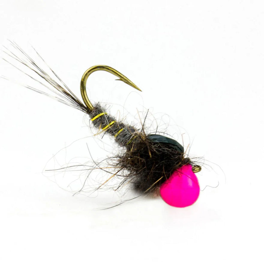 Drop Pink Jig-Nymphe mit grauem, gelb geripptem Körper, dunklem Dubbing-Thorax und leuchtend pinkfarbener Kopfperle