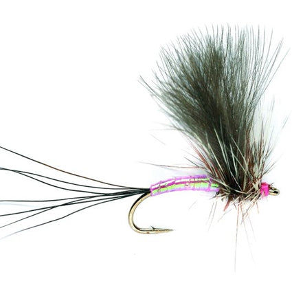 Eintagsfliegen-Trockenfliege mit pinkfarben geripptem Körper, langen dunklen Schwanzfibern und aufgerichtetem grauem Flügel
