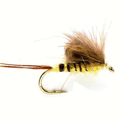 Eintagsfliegen-Emerger mit gelbem, dunkel segmentiertem Körper, langen braunen Schwanzfibern und buschigem braunem Flügel