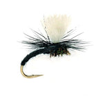 Klinkhammer Black Emerger mit gebogenem schwarzem Körper, dunkler Parachute-Hechel und weißem Sichtflügel