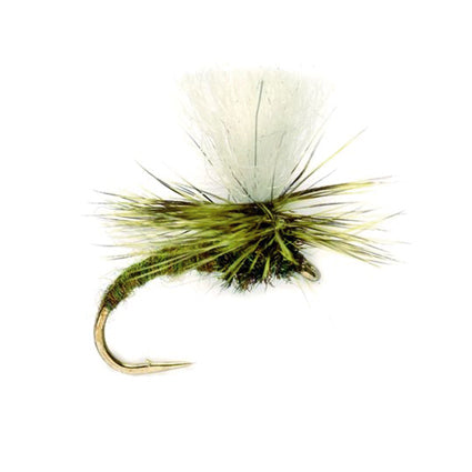 Klinkhammer Emerger mit gebogenem olivgrünem Körper, olivbrauner Parachute-Hechel und weißem Sichtflügel
