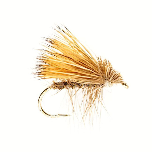 Köcherfliegen-Trockenfliege mit dichtem goldbraunem Haarflügel, braunem Körper und heller, nach unten abstehender Hechel